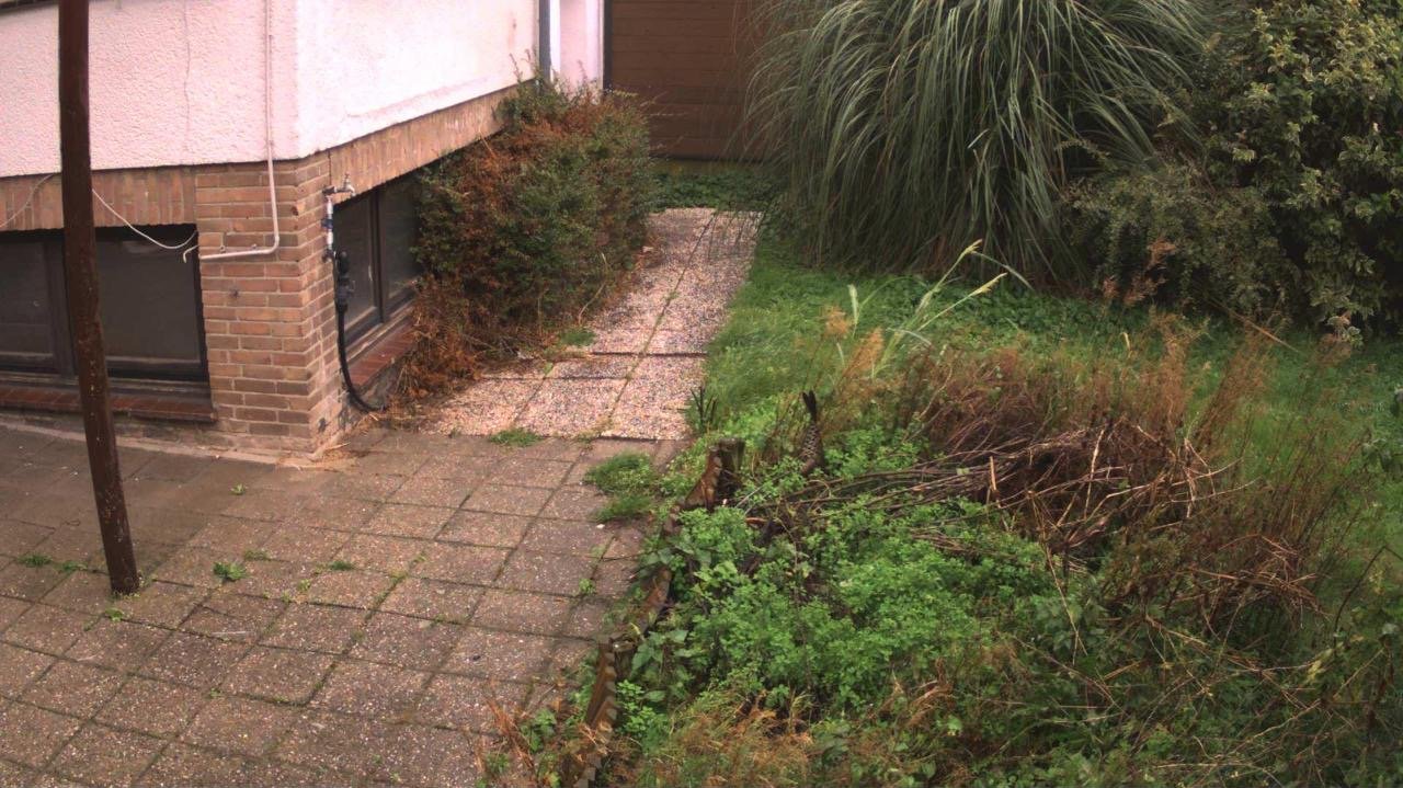 Kamerabild bei Tag: frei zugänglicher Gartenbereich